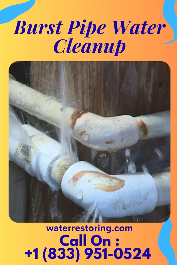 Burst Pipe Water Cleanup in Balsam Lake, WI
