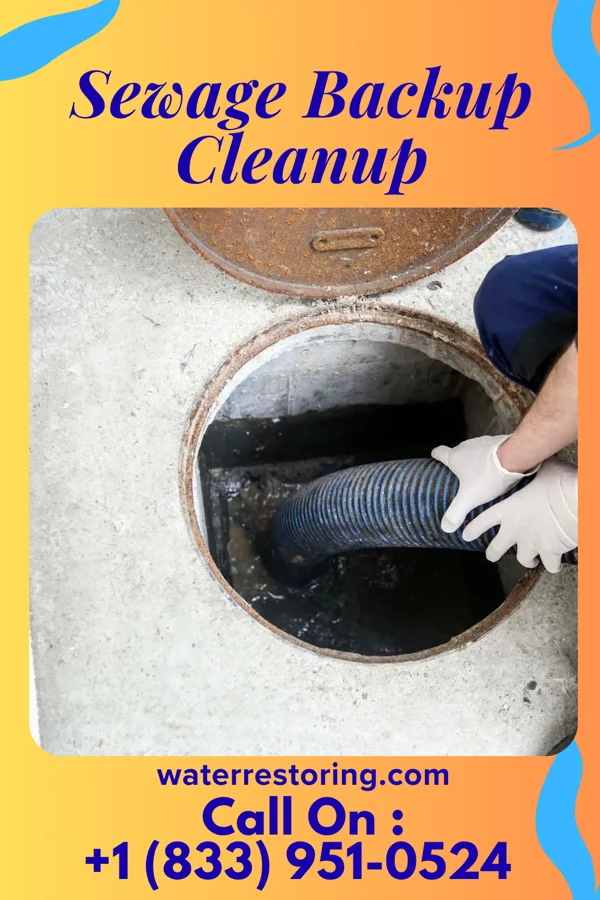 Sewage Backup Cleanup in Balsam Lake, WI
