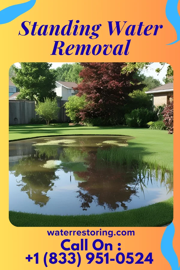 Standing Water Removal in Balsam Lake, WI